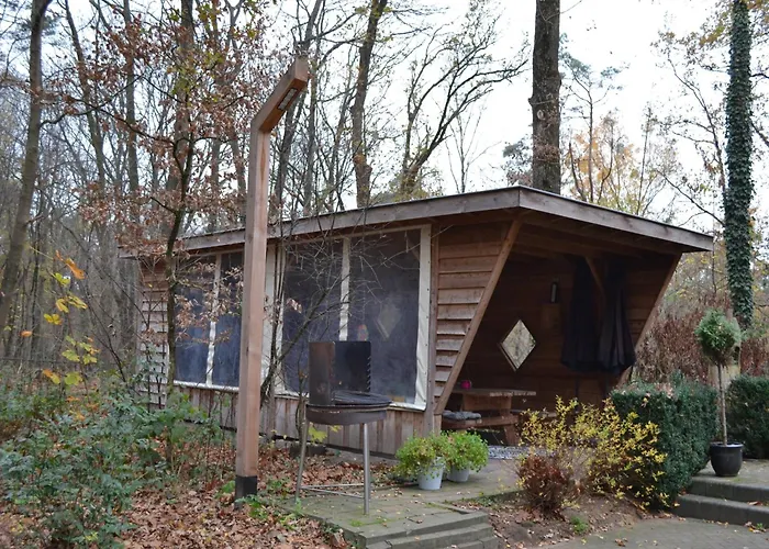 In With Heated Pool * Lunteren