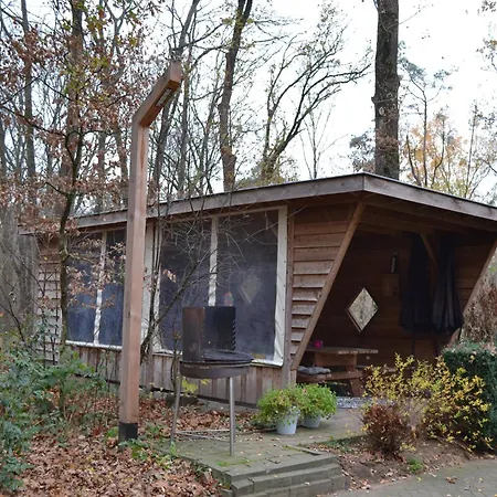 In With Heated Pool * Lunteren